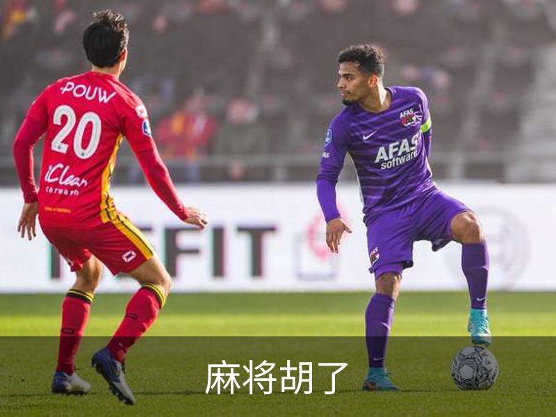 了解麻将胡了